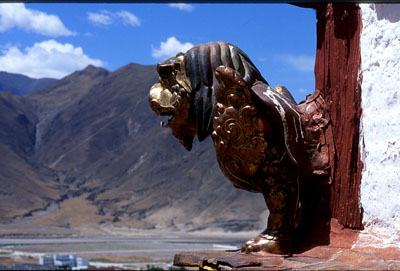 Potala Schneelöwe 03 600dpi
