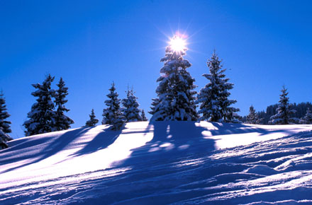 bild_7