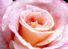 bild_30