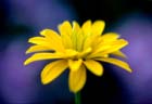 bild_32