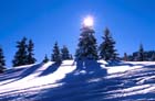 bild_7